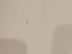 -萨莉亚意式餐厅(深南茂业店)