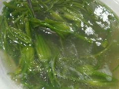 -马帮菜馆·美味野生菌