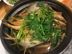 -长平肥姐白粥·海鲜打冷