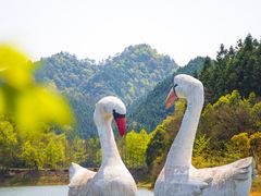 -千岛湖龙川湾