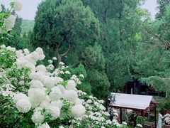 -惠山古镇·寄畅园