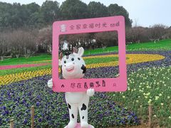 -秀丽东方