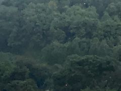 -重庆彩云湖湿地公园