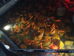 -新悦·霞浦海鲜生(上下杭店)