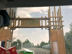 -哈素海