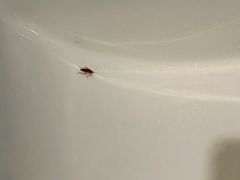 -吾悦广场(渭南店)