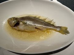 油盐水蒸中黄鱼-广舟(千禧店)