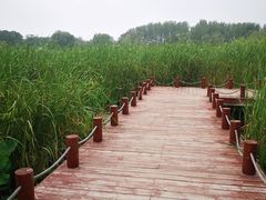 -怀来官厅水库
