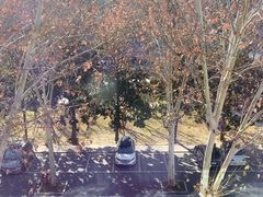 -河南省黄河迎宾馆