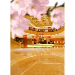 -宁波华侨温德姆至尊豪廷大酒店·宴会厅