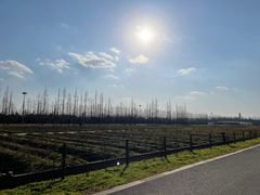 -上海长兴岛郊野公园