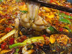 -费明中罗非鱼(大石坝店)