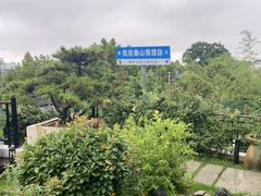 -蘇河湾·新鲁菜·泰山宴(泰山店)