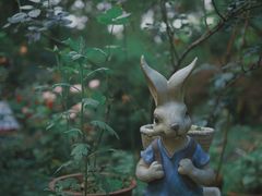 -谷咖啡·鲜花绿植花园餐厅