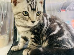 -太原东方动物医院(小店分院)