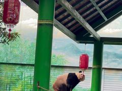 -灵玲国际马戏城