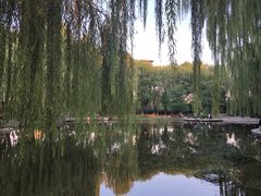-玲珑塔公园