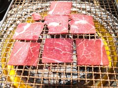 -九田家黑牛烤肉料理(石路天虹店)