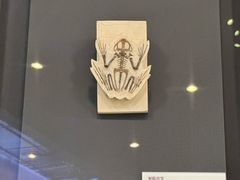 -北京周口店北京人遗址博物馆