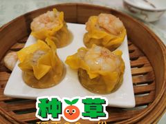 -稻香酒家·33年老字号·港式粤菜(富邦中心店)