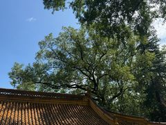 -狼山风景名胜区