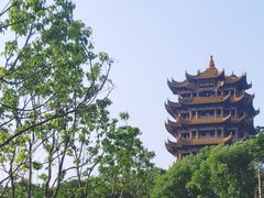 -小凤庭·地道湖北菜武昌鱼·藕汤(38年黄鹤楼店)