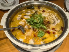 -龙梅肥肠鱼(明瓦廊店)