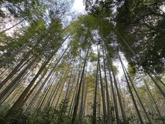 -国生茶庄·地道农家菜团建活动