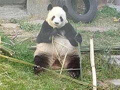 -大连森林动物园