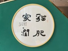 -飞行喵MR PILOT|猫舍·猫咖(静安大融城店)