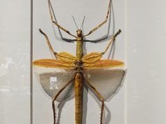 -华南国家植物园-售票处