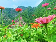 -白河湾生态旅游一条川