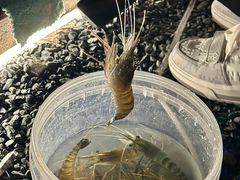 -DGE季风钓虾营地·团建·聚会