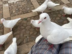 -昆明动物园