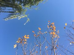 -中关村生命科学园