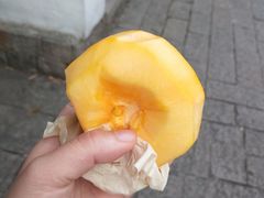-中国湿地博物馆
