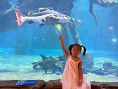 -华夏文旅西安度假区