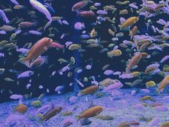 -成都浩海立方海洋公园