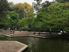 -九龙公园