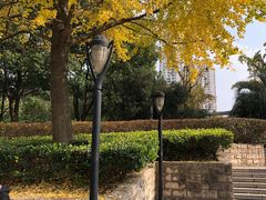 -苏州河梦清园环保主题公园