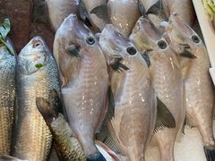 -天天渔港海鲜酒家(石浦玉泉路店)