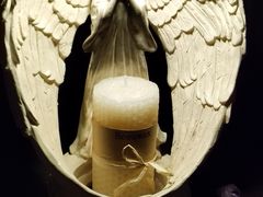 -雪灵魔法世界SHELLY’S TAROT(大良桂畔里店)