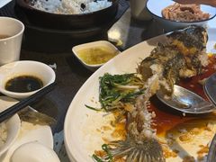 -熠盛粤味·顺德桑拿鸡(永康路店)