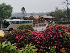 -中国大熊猫保护研究中心雅安碧峰峡基地