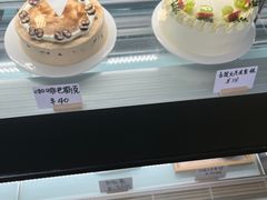 -猫里有甜