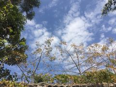 -小西家作(富力爱丁堡店)