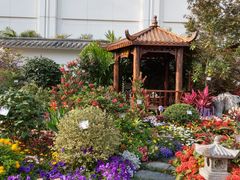 景点-九龙公园