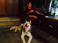 -百好乐宠物友好餐厅(朝外大街店)