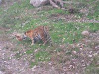 -西安秦岭野生动物园