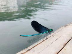 -野三坡清泉山风景区